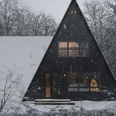 House in a snowy forest