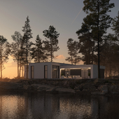 House by the Gulf of Finland