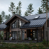 HOUSE IN A PINE FOREST