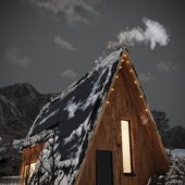 A-frame House