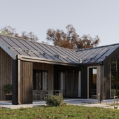 Exterior Vizualization Barnhouse