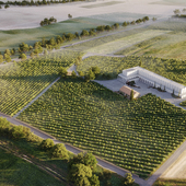 Winery in italy