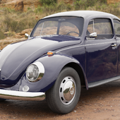 VW Beatle