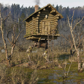 В ногу со временем