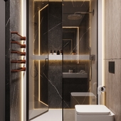 Visualization of the bathroom