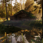 Forest hut