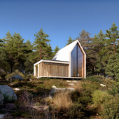 Concept of a House near the forest