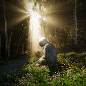 A fallen knight at dawn