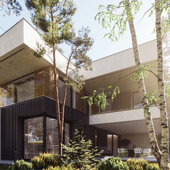 A house among birches