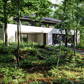 Forest Vizulation  the year 2030