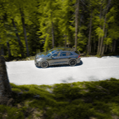 Gliding Thru Forest in an Audi