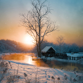 Winter sunset