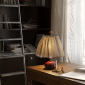 Библиотека. Золотой час. Зима