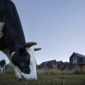 Экстерьерная визуализация