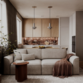 Living room + kitchen