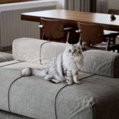 Гостиная в современном стиле (выполнено по референсу).