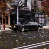 Pontiac on an Autumn Street