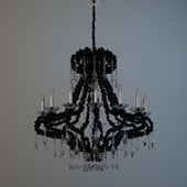 Ipe Cavalli | Aslan