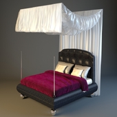 Ipe Cavalli