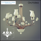 Le Porcellane / Orchidea