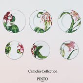 Alberto Pinto / Camelia