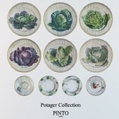 Alberto Pinto /  Potager