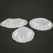 DishRag