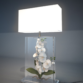 Pauline H  ORCHID BLANC