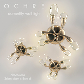 OCHRE damselfly