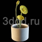 DDD FLOWERS
