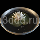 3DDD FLOWERS