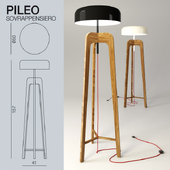 Porada Pileo