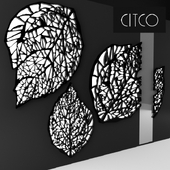 Citco Transparence