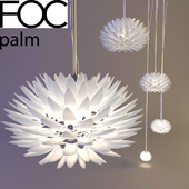 FOC palm