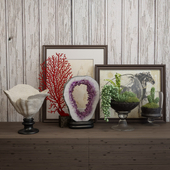 Decor coral 05