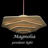 Magnolia Pendant light