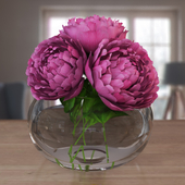 flowers peony