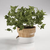 Mint pot by Sagaform