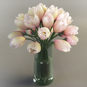 Тюльпаны, Tulips