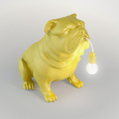 Light dog