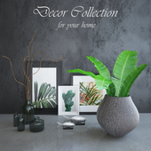 Decor collection