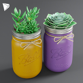 Pot Ball Mason Jar Succulent