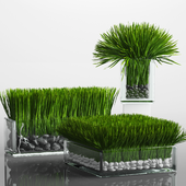 Grass Arrangement