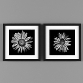 Frame paint flower