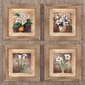 Rustic Mexican Paints