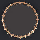 Pottery Barn The Emily & Meritt Star Ring Mirror