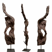 mangove root