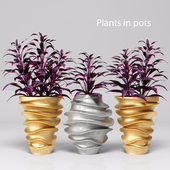 Plants in pots. Gold & Silver, luxury, цветок, горшок, вазон, золотой, серебристый, люкс, цветок