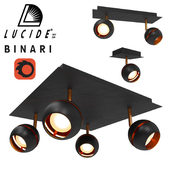 Lucide Binari