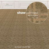 Shaw Carpet New Simplicity No: 1